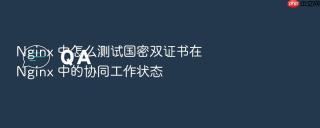 Nginx 中怎么测试国密双证书在 Nginx 中的协同工作状态