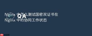 nginx 中怎么测试国密双证书在 nginx 中的协同工作状态