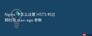 nginx 中怎么设置 hsts 的过期时间 max-age 参数