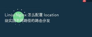 linux nginx 怎么配置 location 块实现不同路径的路由分发