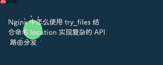 nginx 中怎么使用 try_files 结合命名 location 实现复杂的 api 路由分发