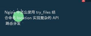 Nginx 中怎么使用 try_files 结合命名 location 实现复杂的 API 路由分发