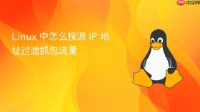 Linux 中怎么按源 IP 地址过滤抓包流量