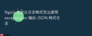 nginx 自定义日志格式怎么使用 escape=json 输出 json 格式日志