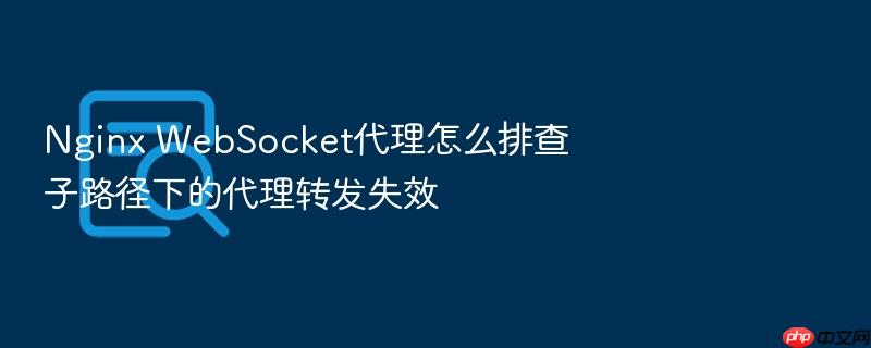 nginx websocket代理怎么排查子路径下的代理转发失效