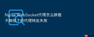 nginx websocket代理怎么排查子路径下的代理转发失效