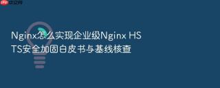 Nginx怎么实现企业级Nginx HSTS安全加固白皮书与基线核查