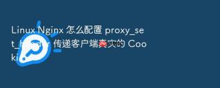 Linux Nginx 怎么配置 proxy_set_header 传递客户端真实的 Cookie