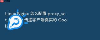 linux nginx 怎么配置 proxy_set_header 传递客户端真实的 cookie