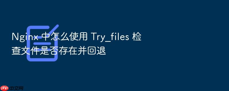 nginx 中怎么使用 try_files 检查文件是否存在并回退
