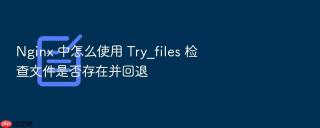 nginx 中怎么使用 try_files 检查文件是否存在并回退