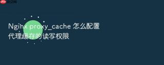 nginx proxy_cache 怎么配置代理缓存的读写权限
