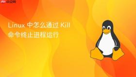 Linux 中怎么通过 Kill 命令终止进程运行