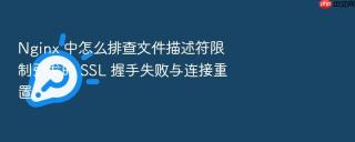 Nginx 中怎么排查文件描述符限制引发的 SSL 握手失败与连接重置