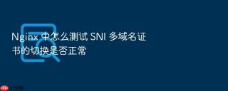 nginx 中怎么测试 sni 多域名证书的切换是否正常