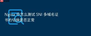 Nginx 中怎么测试 SNI 多域名证书的切换是否正常