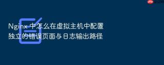 Nginx 中怎么在虚拟主机中配置独立的错误页面与日志输出路径