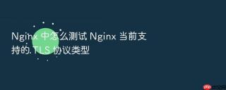 Nginx 中怎么测试 Nginx 当前支持的 TLS 协议类型