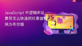 JavaScript 中逻辑非运算符怎么快速把任意值转换为布尔值