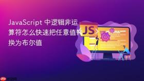 javascript 中逻辑非运算符怎么快速把任意值转换为布尔值