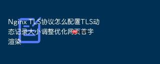 Nginx TLS协议怎么配置TLS动态记录大小调整优化网页首字渲染