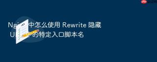 nginx 中怎么使用 rewrite 隐藏 url 中的特定入口脚本名
