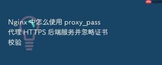 nginx 中怎么使用 proxy_pass 代理 https 后端服务并忽略证书校验