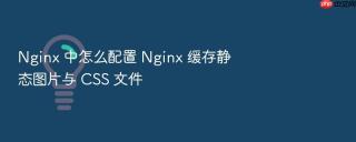 nginx 中怎么配置 nginx 缓存静态图片与 css 文件