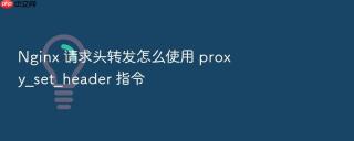 nginx 请求头转发怎么使用 proxy_set_header 指令