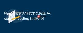 Nginx 请求头转发怎么传递 Accept-Encoding 压缩标识