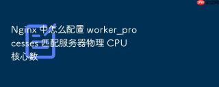 nginx 中怎么配置 worker_processes 匹配服务器物理 cpu 核心数