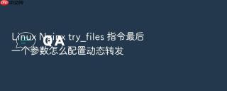 linux nginx try_files 指令最后一个参数怎么配置动态转发
