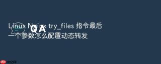 Linux Nginx try_files 指令最后一个参数怎么配置动态转发