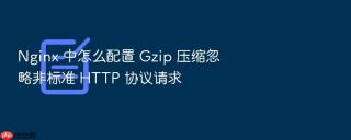Nginx 中怎么配置 Gzip 压缩忽略非标准 HTTP 协议请求