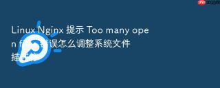 linux nginx 提示 too many open files 错误怎么调整系统文件描述符
