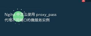 nginx 中怎么使用 proxy_pass 代理不同端口的微服务实例