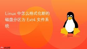 Linux 中怎么格式化新的磁盘分区为 Ext4 文件系统