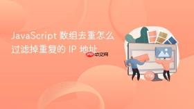JavaScript 数组去重怎么过滤掉重复的 IP 地址