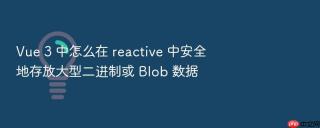 vue 3 中怎么在 reactive 中安全地存放大型二进制或 blob 数据