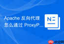 Apache 反向代理怎么通过 ProxyPassReverse 统一内外网路径