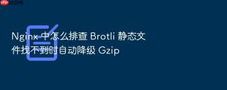 Nginx 中怎么排查 Brotli 静态文件找不到时自动降级 Gzip