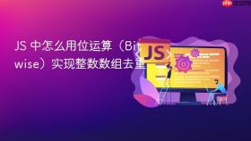 js 中怎么用位运算（bitwise）实现整数数组去重
