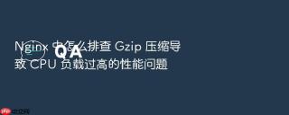 nginx 中怎么排查 gzip 压缩导致 cpu 负载过高的性能问题