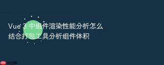 Vue 3 中组件渲染性能分析怎么结合打包工具分析组件体积