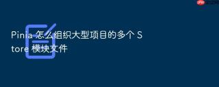 Pinia 怎么组织大型项目的多个 Store 模块文件