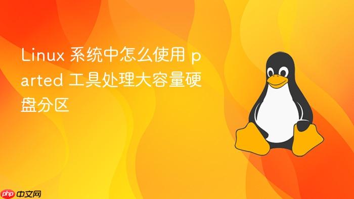 linux 系统中怎么使用 parted 工具处理大容量硬盘分区