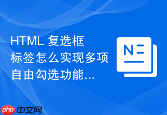 html 复选框标签怎么实现多项自由勾选功能