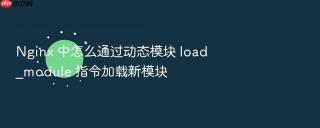 Nginx 中怎么通过动态模块 load_module 指令加载新模块