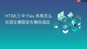 html5 中 flex 布局怎么实现左侧固定右侧自适应
