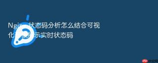 Nginx 状态码分析怎么结合可视化面板展示实时状态码